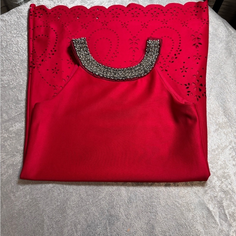 Xtraordinary Scarlet Dress with Glittering Silver Trim
